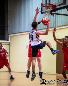 basket-DM-35