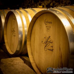 photo artisan vigneron