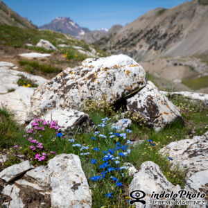 Savines_2021-139