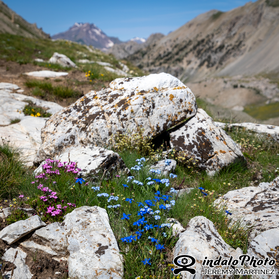 Savines_2021-139
