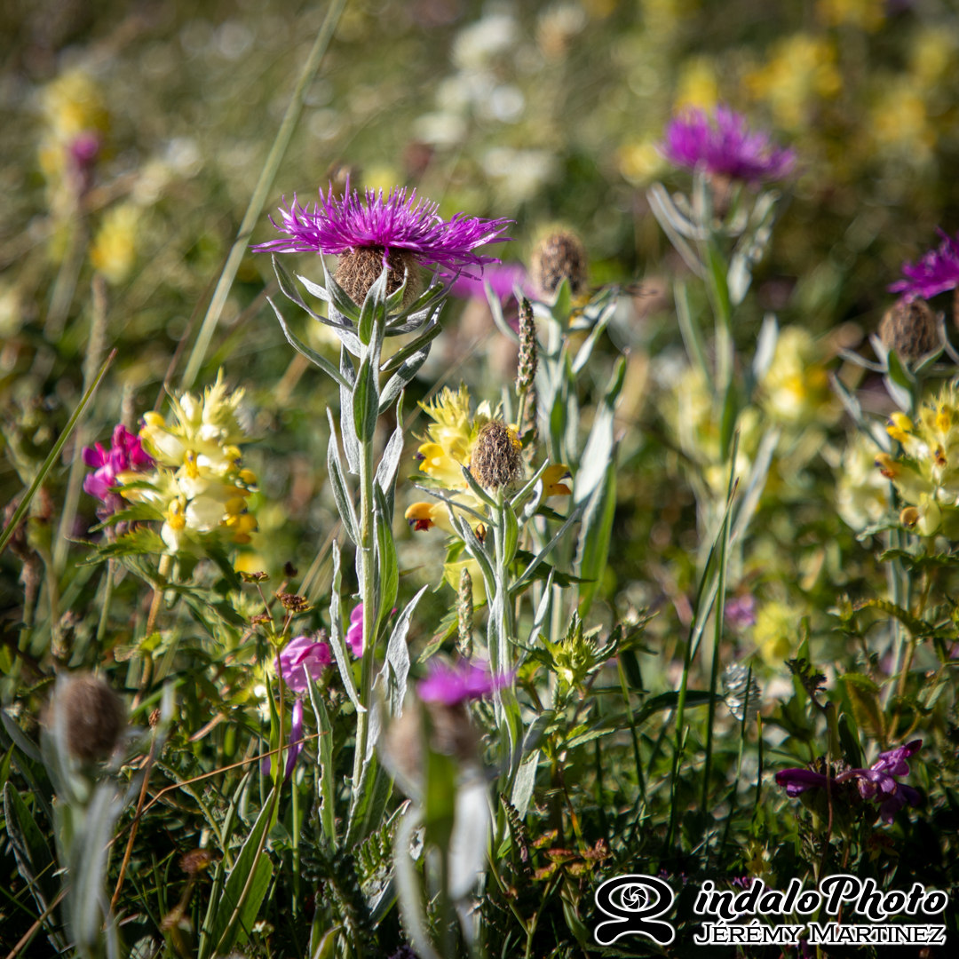 Savines_2021-72