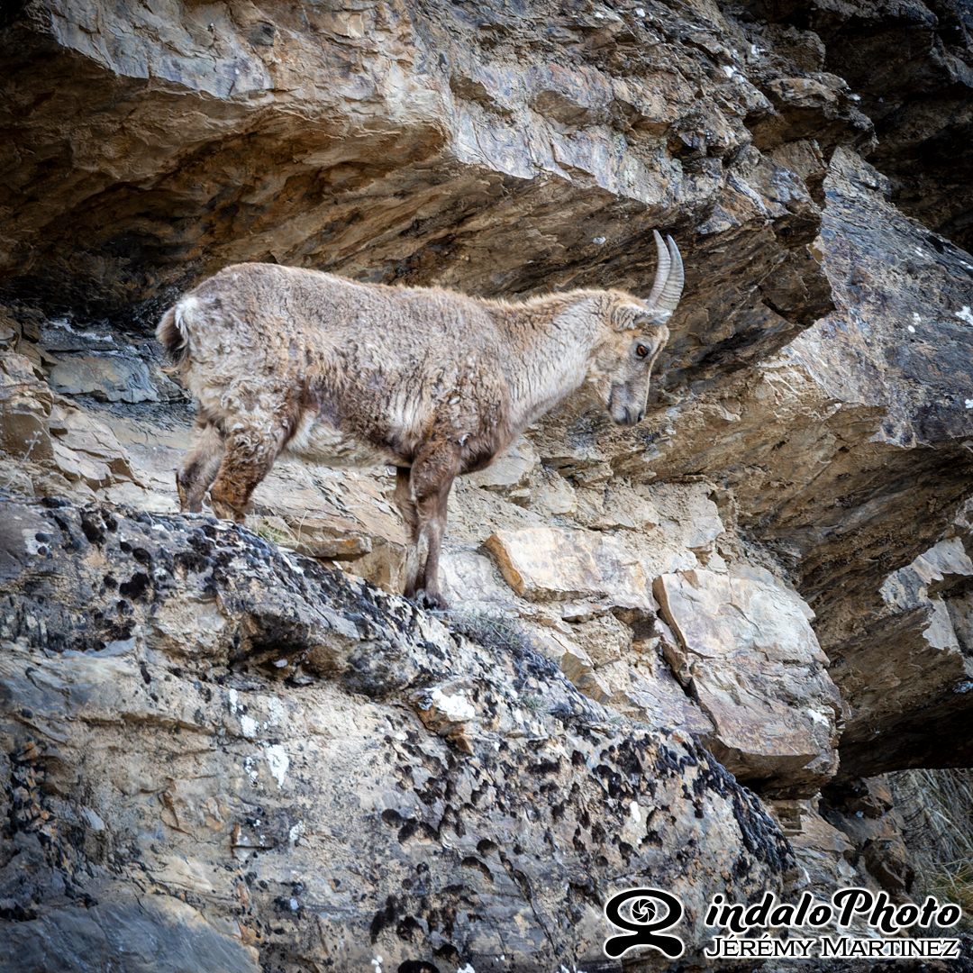 WE-photo-Savines-205-CR3_DxO_DeepPRIMEXD